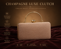 Luxe clutch 🤩